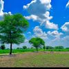 irfanarain351