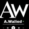 ahmed.walied87