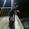 lolipop_9876