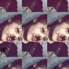 xyalfi23