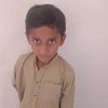 toheed.khan294