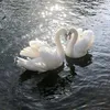 remh_17