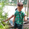 naingkohtet16