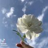 anisa.bawel26