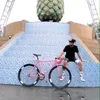 lolojonesfixie