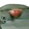 memegoy