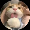 qdangyeuu