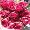 areen.abdallah5