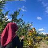 triasanugrah26