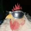 viralizoud