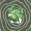 fourleaf._clover