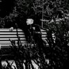 alisher_altynbekov