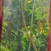 risna7002