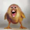 autistic_monkey