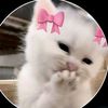 afiya_403