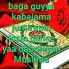 siman5052