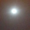 mohamedlarbi7081