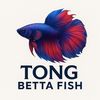 tongbettafish.cam