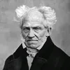 Schopenhauer erklärt