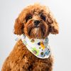 sojucavapoo