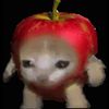 wahsup_152