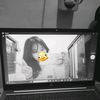 lynnn_452