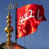 ali.mohamed6046