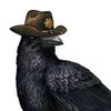 raven.hunter28