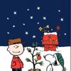 christmas_seas0n_is_here