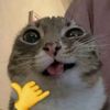 timmytuffknuckles67670