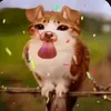 mymelodyy263
