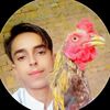qasim.0464