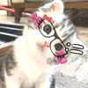 savialowky_0