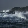 3vvees
