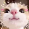 .maya7978