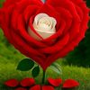 user5300037569530