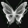 tvz_gralia