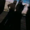ngthminhvyy