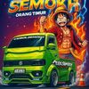 fernanduja7