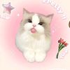 choirunnisa_91184