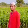 mian80499