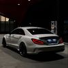 esmat_boxer_