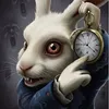 coelho.time