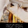 bashaer56a