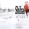 shiba_l123