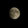 ماهی🌙💛