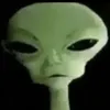 denisdolgov6