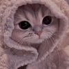 SASHKa