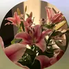ai3ai0