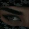 user88131275981342